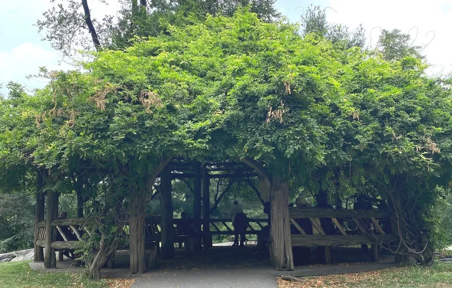 A paved path leads to Cop Cot, a rustic wooden shelter almost hidden under climbing vines and trees