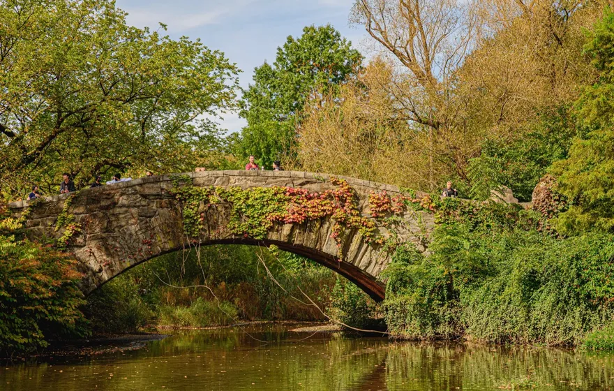 Gapstow Bridge, a low stone arch with ivy turning red, reflected in the still water of the Pond with autumn trees on both banks