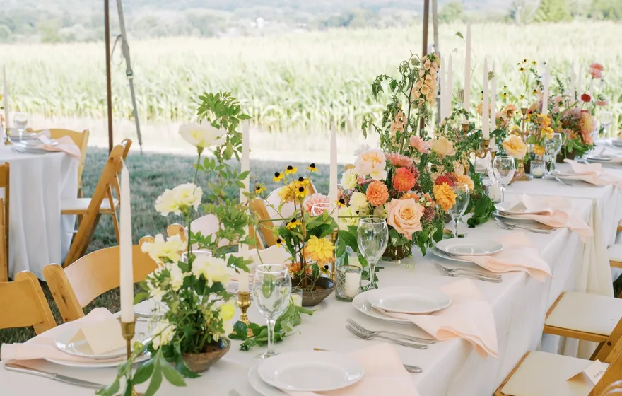 A long reception table set with white plates, peach napkins and loose garden flowers under a tent beside a cornfield