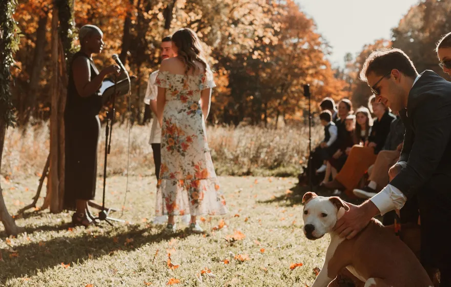 An officiant speaks into a microphone beside a couple in a sunlit field while seated guests, one holding a dog, watch